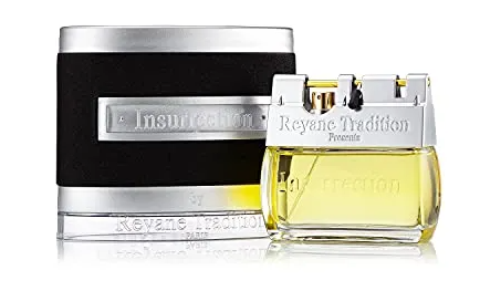 Tradition Perfume for Men - 100ml Eau de Perfume | Best Fragrance for Men - Image 4